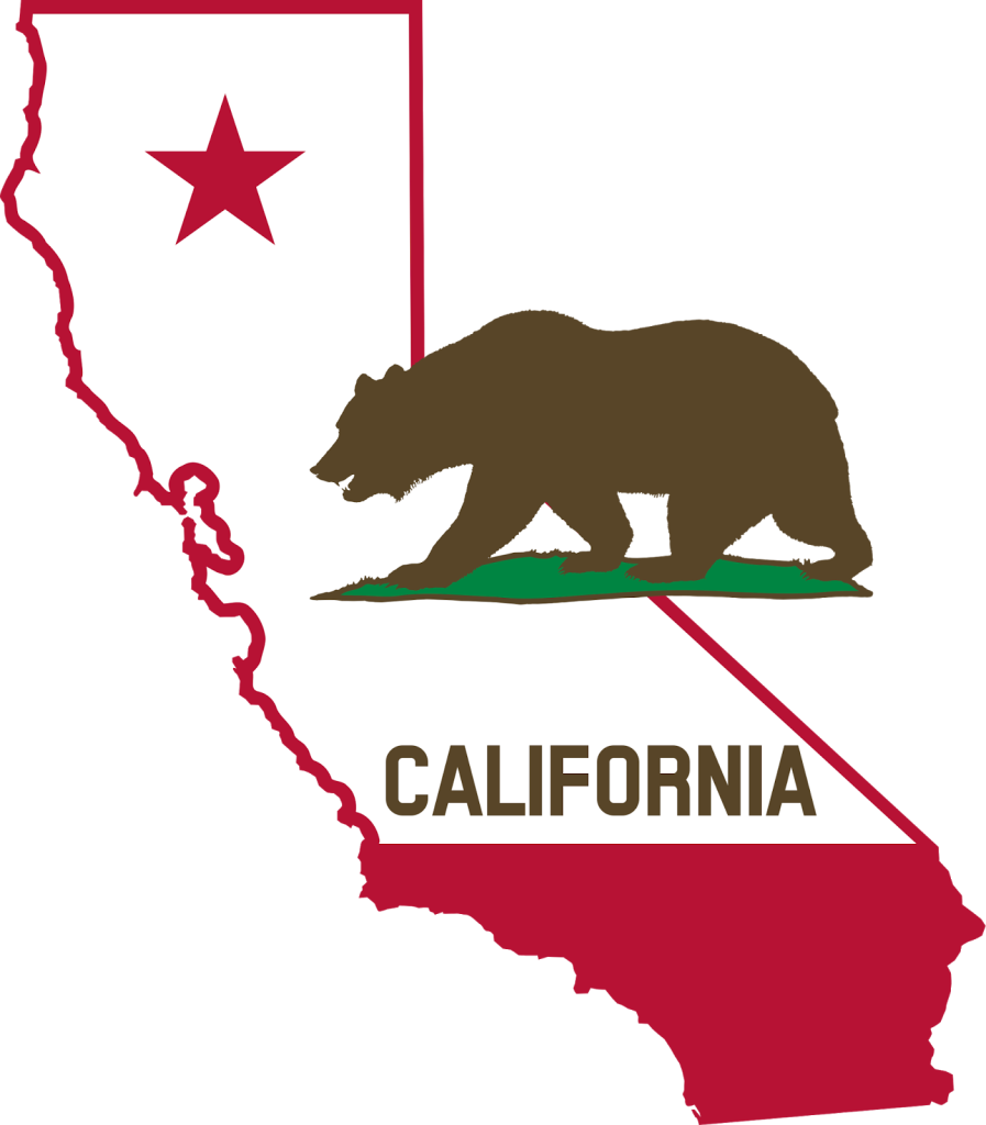636054606033326119-1877630735_California-Outline-and-Flag-Solid